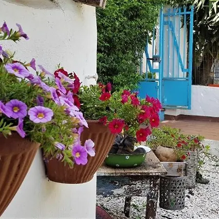 Ubytování v soukromí Giardino Dei Limoni