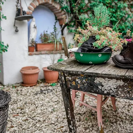 Ubytování v soukromí Giardino Dei Limoni *